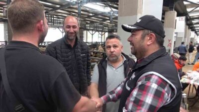 Kurban Bayramı öncesi Bursa’daki hayvan pazarlarında hareketlilik artarken, Kaçakçılık ve