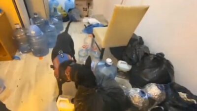 Aydın’ın Kuşadası ilçesinde Narkotik ekiplerinin düzenlediği bir operasyonda 22 kilogram