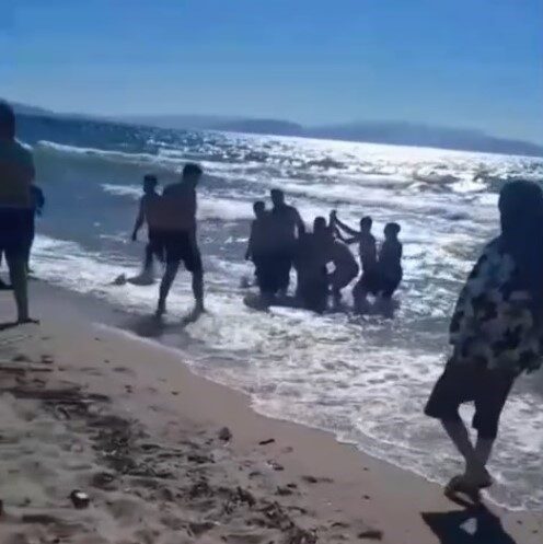 Kuşadası ilçesine bağlı Davutlar Mahallesi’ndeki Sevgi Plajı’nda meydana gelen iki