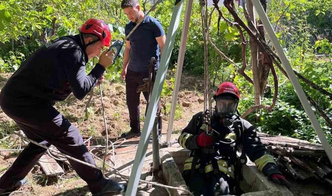 Seydişehir ilçesinde bir yavru kedinin düştüğü kuyudan kurtarılması, itfaiye ekiplerinin