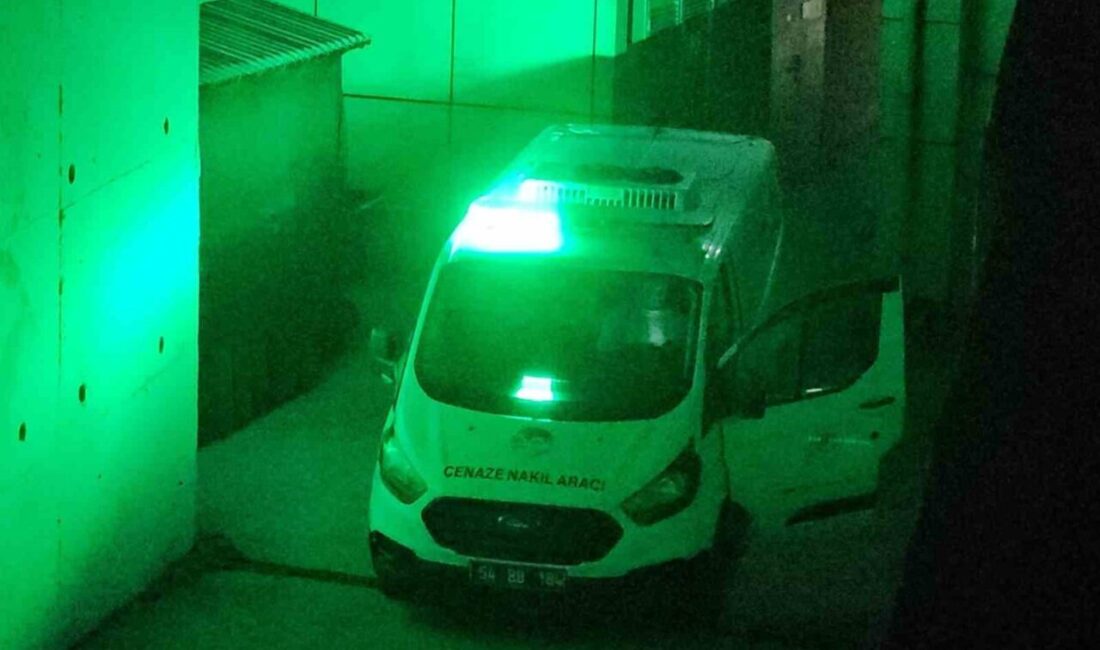 Sapanca ilçesindeki lüks bir otelin kapalı yüzme havuzunda yaşamını yitiren