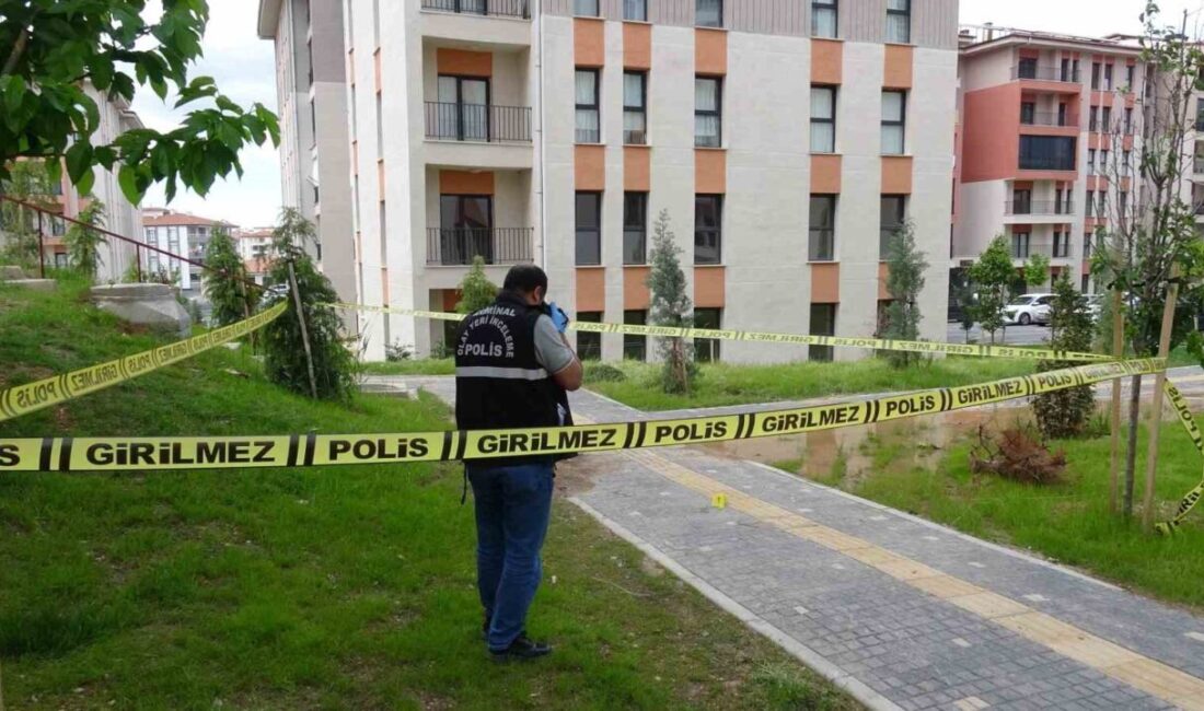 Malatya’da bir sitenin içerisinde hareketsiz bir şekilde yerde yatan 59