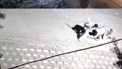 Manisa’da, kız meselesi yüzünden iki kişi arasında çıkan kavgada bir