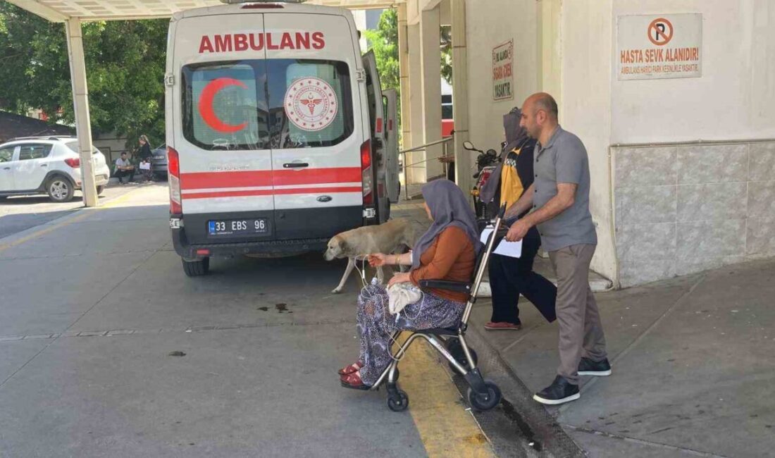 Mersin’in Erdemli ilçesinde mantar toplayan ve yedikten sonra zehirlenme belirtileri