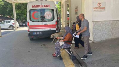 Mersin’in Erdemli ilçesinde mantar toplayan ve yedikten sonra zehirlenme belirtileri