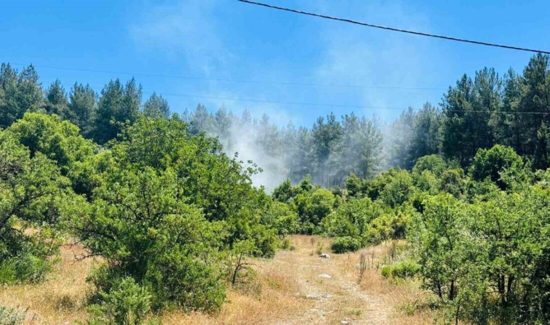 Muğla’nın Menteşe ilçesine bağlı Doğanköy Mahallesi’nde ormanlık alanda çıkan yangın,