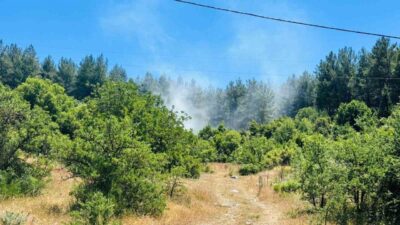 Muğla’nın Menteşe ilçesine bağlı Doğanköy Mahallesi’nde ormanlık alanda çıkan yangın,