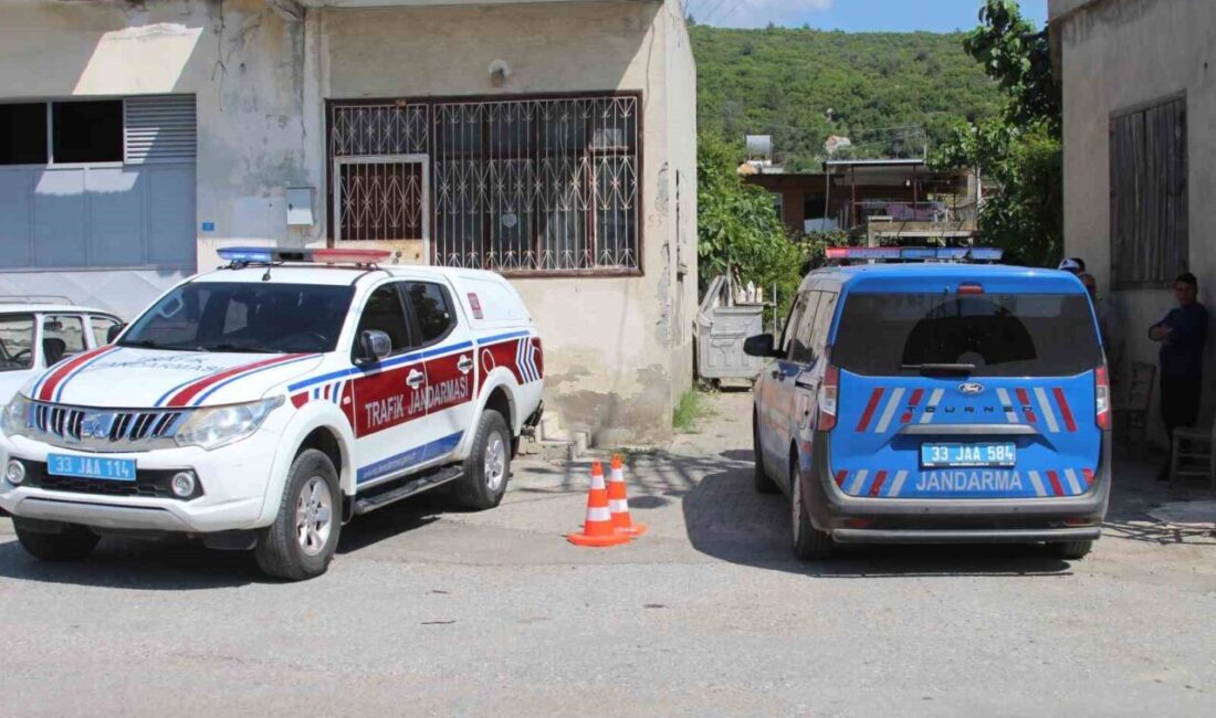 Mersin’de yaşanan korkunç olayda 6 kişiyi öldüren ve 8 kişiyi