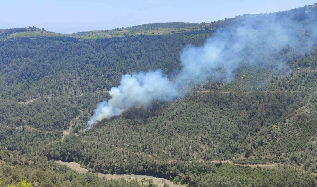 Mersin’in Erdemli ilçesinde meydana gelen orman yangını, ekiplerin hızlı müdahalesi