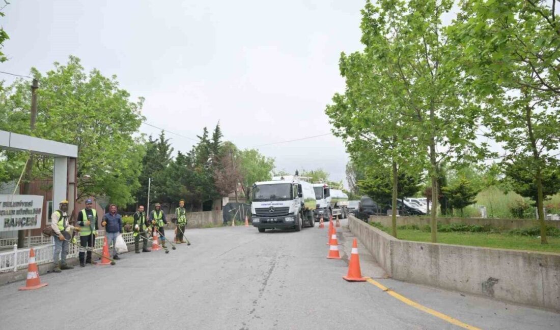 Esenyurt Belediyesi personeli, Gülbahçe Mezarlığı’na ot biçme ve genel temizlik