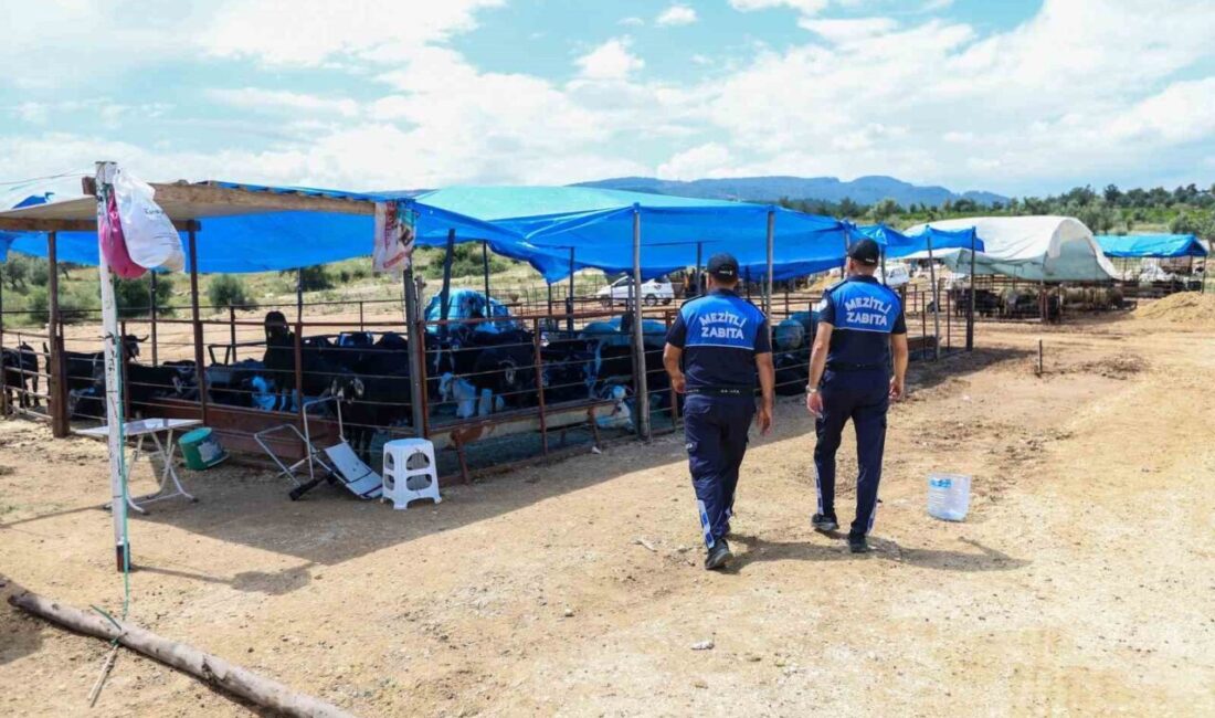 Mersin’in Mezitli ilçesine bağlı belediye zabıta ekipleri, yaklaşan Kurban Bayramı
