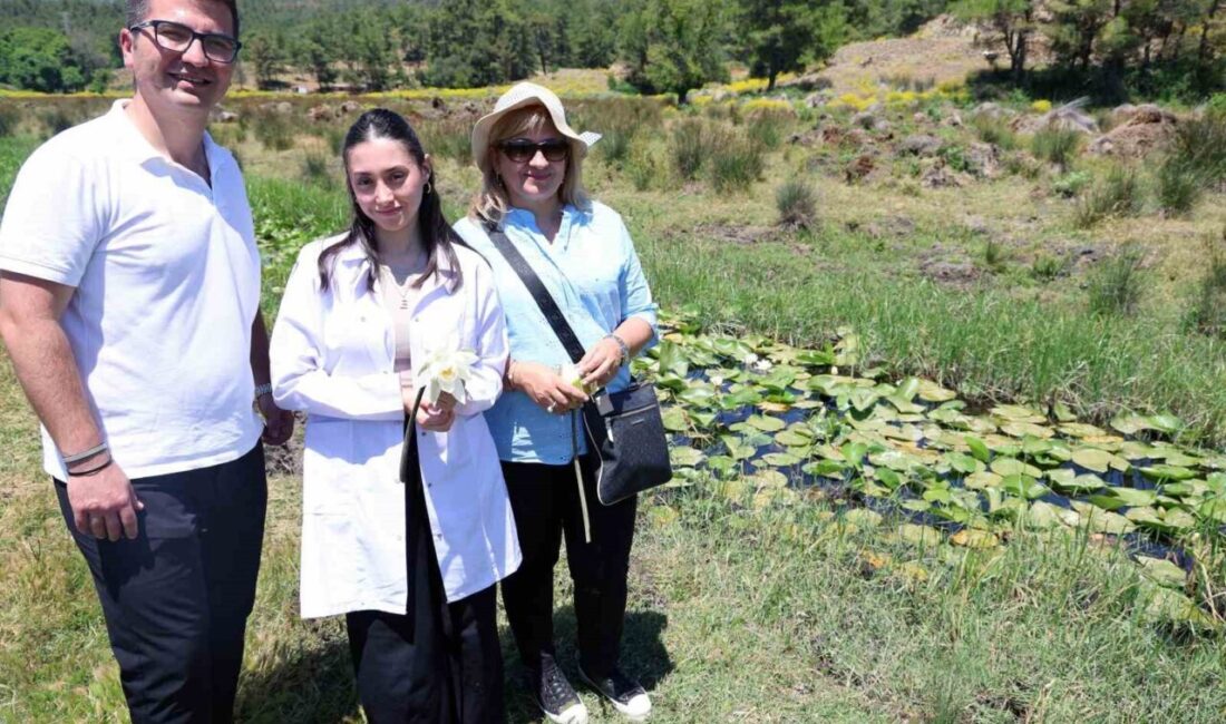 Muğla Sıtkı Koçman Üniversitesi’nin Fen Fakültesi Kimya Bölümü, son olarak