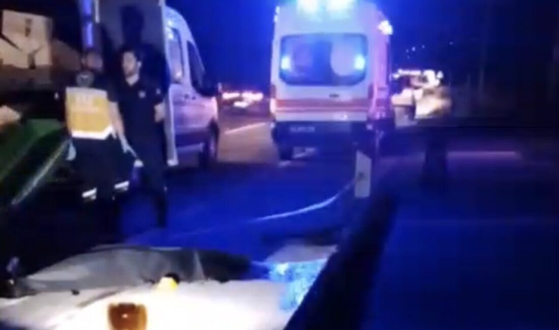 Muğla’nın Bodrum ve Milas ilçeleri arasındaki kara yolu üzerinde meydana