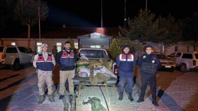 Muradiye ilçesinde jandarma ekipleri tarafından yapılan denetimlerde, kaçak avlanan bir