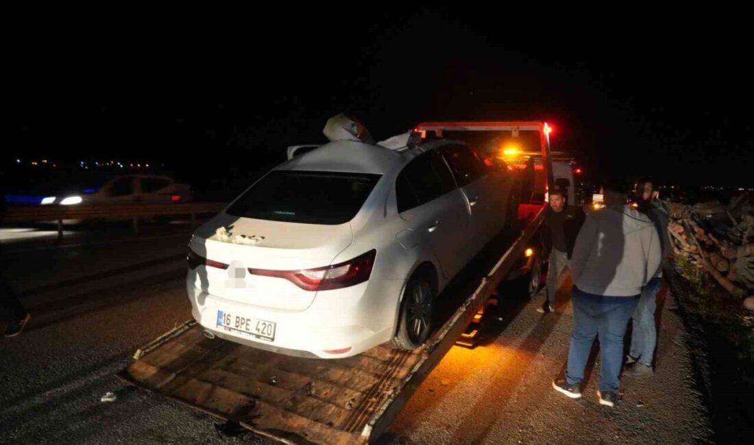 Muş-Bingöl karayolunda seyir halindeki bir otomobilin aniden yola çıkan bir
