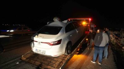 Muş-Bingöl karayolunda seyir halindeki bir otomobilin aniden yola çıkan bir