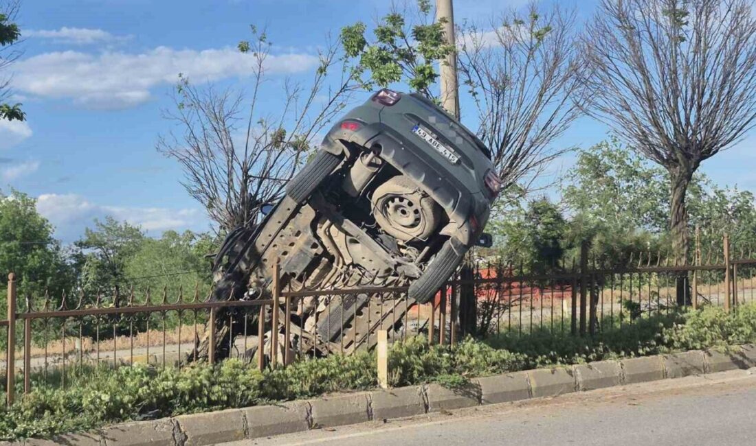 Muş-Bitlis karayolunda meydana gelen trafik kazasında bir araç refüjde demirlere