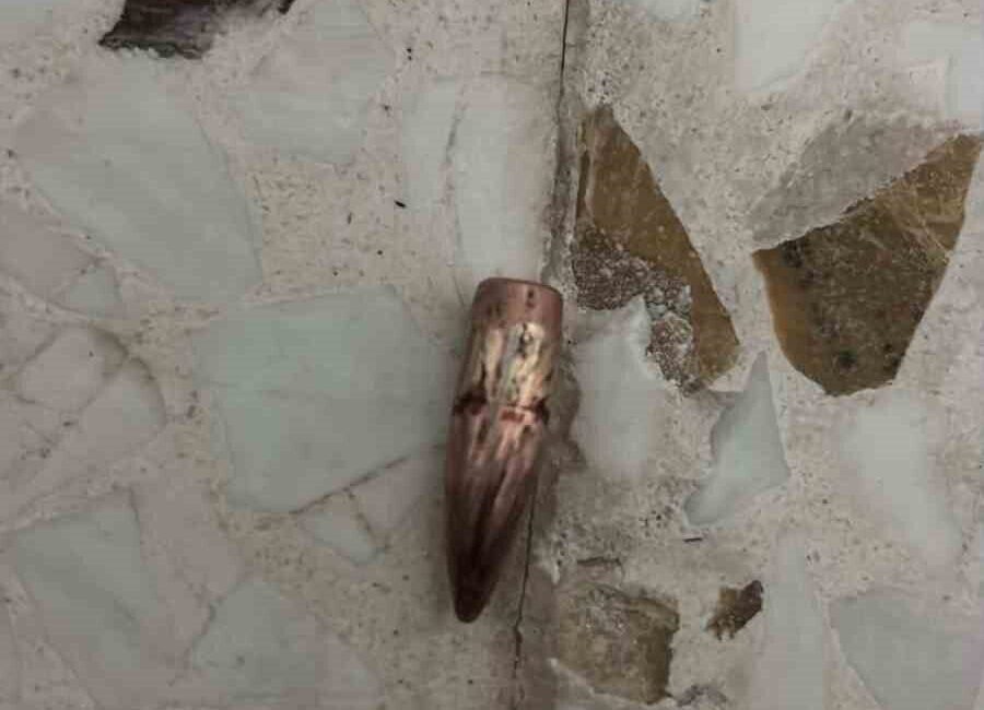 Mardin’in Nusaybin ilçesinde Suriye sınırında duyulan silah sesleri sonrasında bazı