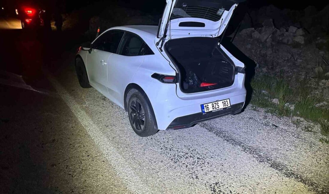 Bilecik’te dün gece meydana gelen bir trafik kazasında, seyir halindeki