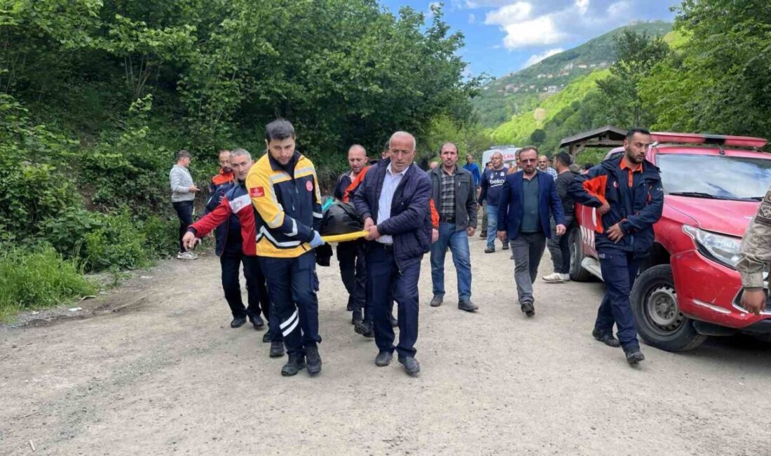Çaybaşı ilçesinde bir çocuğun serinlemek amacıyla girdiği şelalenin göletinde boğularak
