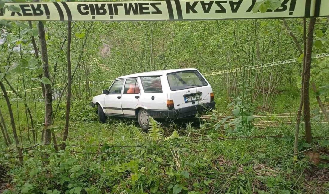 Aracın kontrolünden çıkan ve fındık bahçesine giren bir otomobilin neden