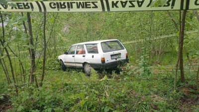 Aracın kontrolünden çıkan ve fındık bahçesine giren bir otomobilin neden