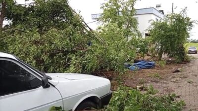 Düziçi ilçesine bağlı Osmaniye’nin Bostanlar köyü Kaşobası Mahallesi’nde meydana gelen