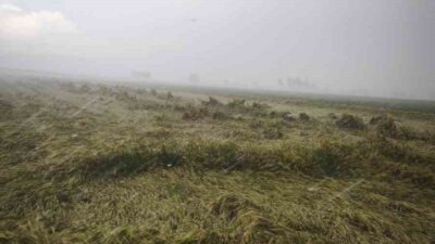 Osmaniye’de Meteoroloji’nin kuvvetli yağış uyarısının ardından meydana gelen sağanak yağış,