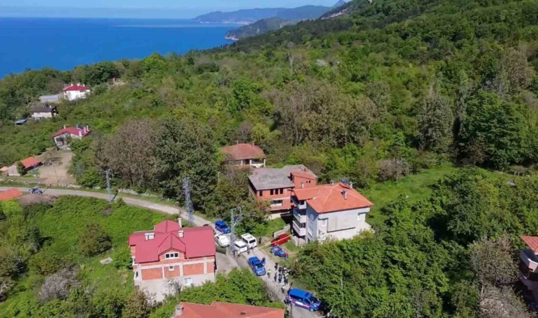 Kastamonu’nun Cide ilçesinde, Yenice Köyü Muhtarı Güngör Temur’un otları biçmek