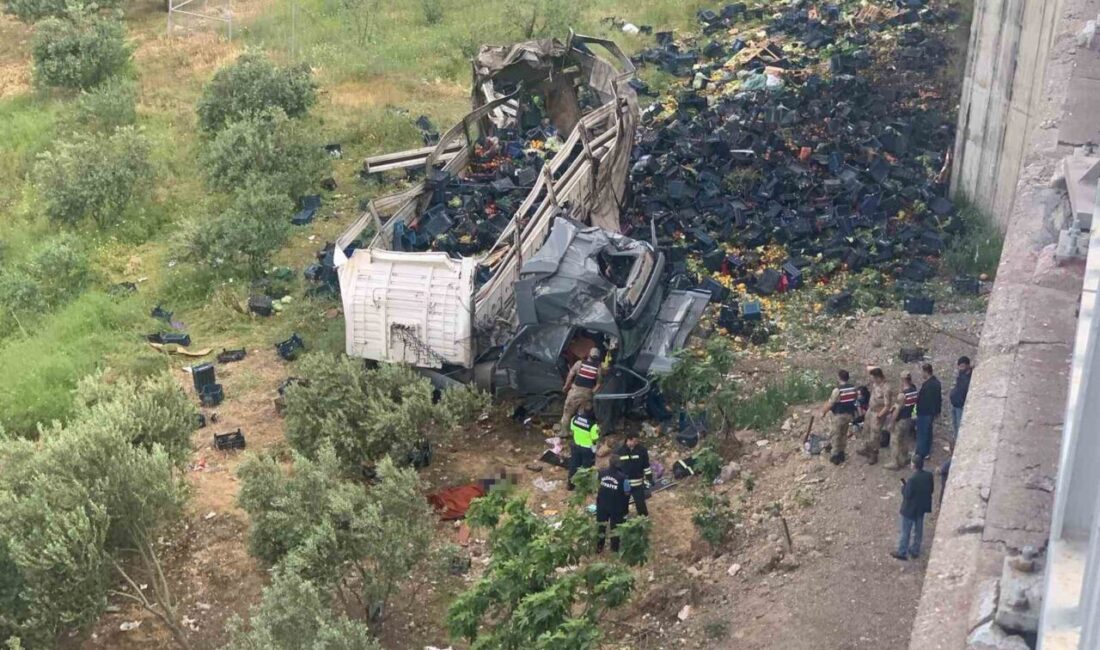 Tarsus-Adana-Gaziantep Otoyolu Nurdağı Başpınar Viyadüğü’nde meydana gelen trafik kazasında, sebze