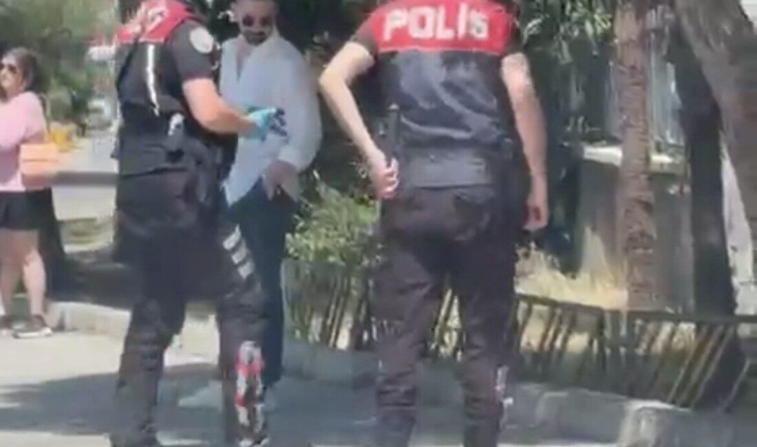 İzmir’in Karabağlar ilçesinde bir yavru kedinin yolun karşısına geçmeye çalışırken