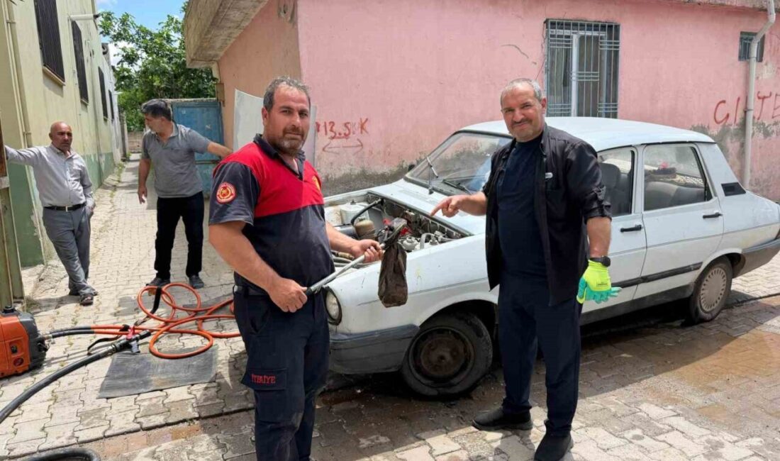 Şanlıurfa’da, Hilvan ilçesinde bulunan Celal İzol’a ait 63 EP 391