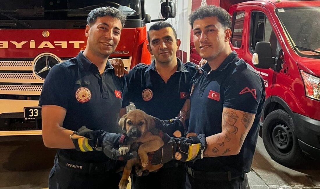 Mersin’de, Barbaros Mahallesi’nde bir otomobilin motor kısmına sıkışan bir yavru