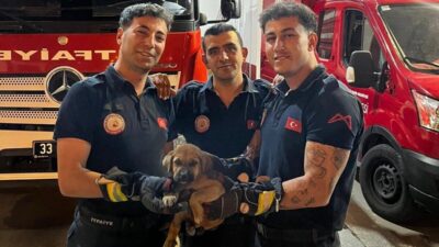 Mersin’de, Barbaros Mahallesi’nde bir otomobilin motor kısmına sıkışan bir yavru