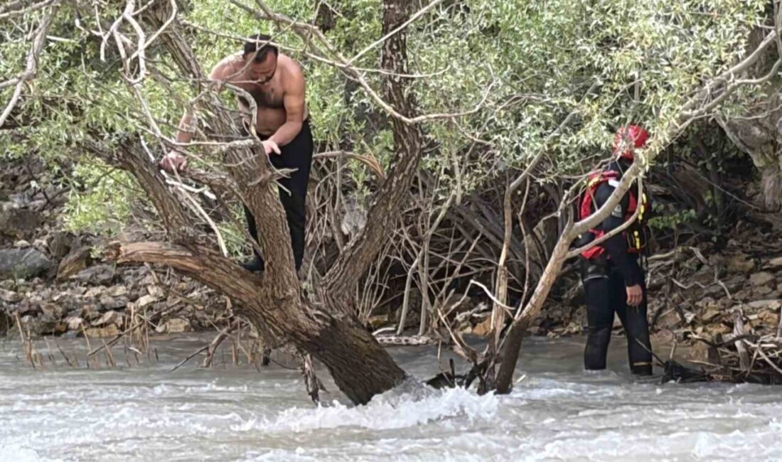Tunceli’de Pülümür Çayı’nda yüzerken akıntıya kapılan ve bir ağacın üzerinde