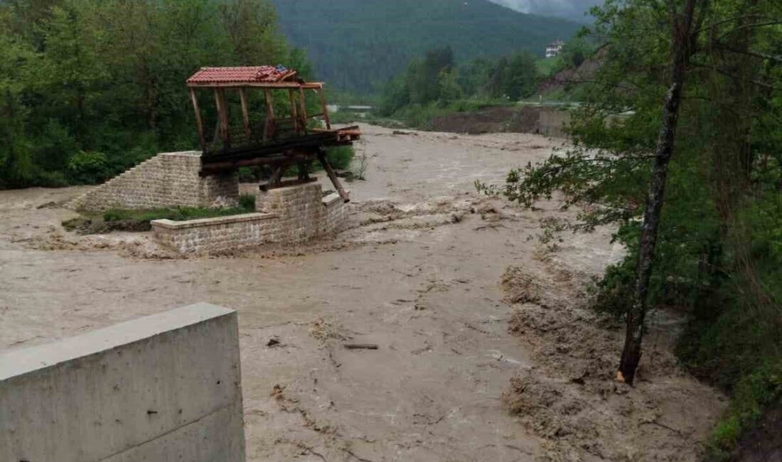 Azdavay ilçesine bağlı Kastamonu’nun Alı köyünde yaşanan olumsuz hava koşulları
