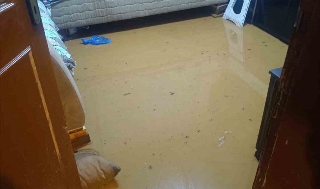 Bursa’nın İnegöl ilçesinde akşam saatlerinde meydana gelen yoğun yağışlar, kırsal