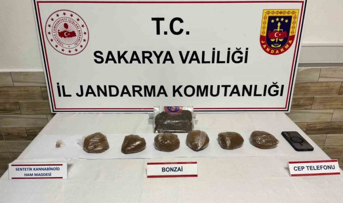 Sakarya’da jandarma ekiplerinin gerçekleştirdiği operasyonda, 2 ilçede uyuşturucu satıcılarına yönelik
