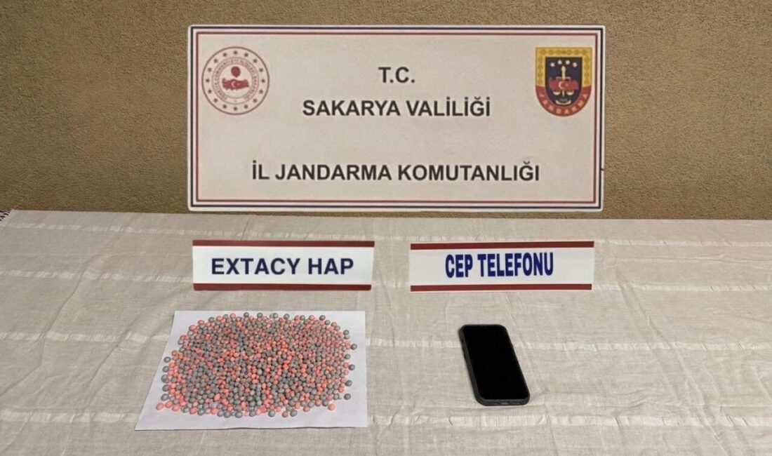 Sakarya’da jandarma ekipleri, Ferizli, Pamukova ve Serdivan ilçelerinde sokak satıcılarına