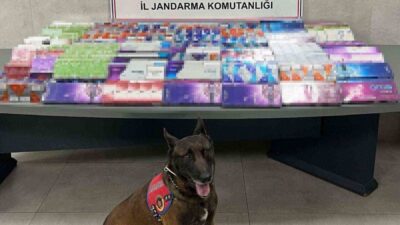 Sakarya’da jandarma birimleri, kaçakçılık suçlarıyla mücadele kapsamında gerçekleştirilen eş zamanlı