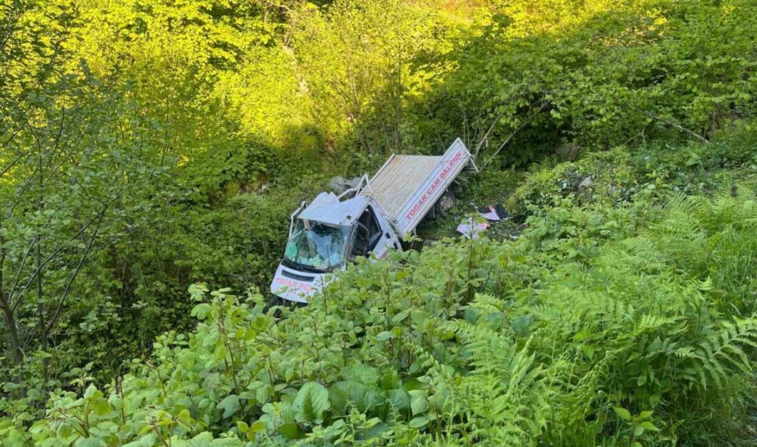 Samsun’un Terme ilçesinde meydana gelen trafik kazasında kereste yüklü bir