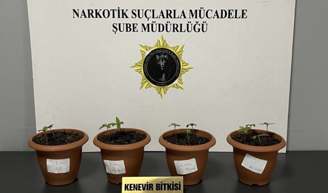 Samsun’da uyuşturucuyla mücadele kapsamında gerçekleştirilen operasyonda, 3 ilçede toplam 4
