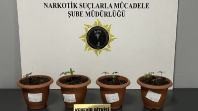 Samsun’da uyuşturucuyla mücadele kapsamında gerçekleştirilen operasyonda, 3 ilçede toplam 4