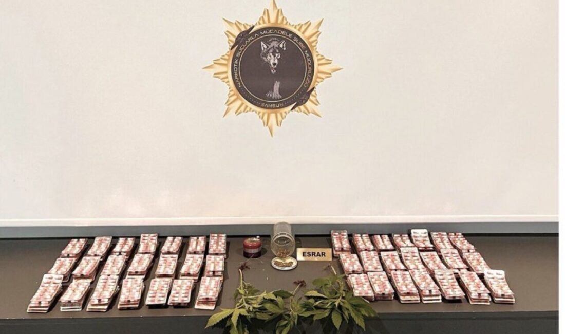 Samsun’da düzenlenen operasyonlarda, uyuşturucu madde, kenevir bitkisi ve ruhsatsız silahlara