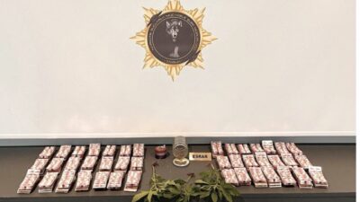 Samsun’da düzenlenen operasyonlarda, uyuşturucu madde, kenevir bitkisi ve ruhsatsız silahlara