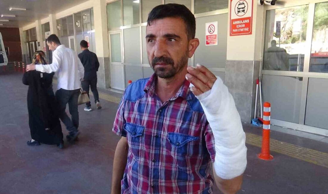 Şanlıurfa’da Kurban Bayramı’nın açılış gününde kurban kesimi sırasında yaralanan 232