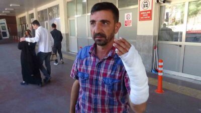 Şanlıurfa’da Kurban Bayramı’nın açılış gününde kurban kesimi sırasında yaralanan 232
