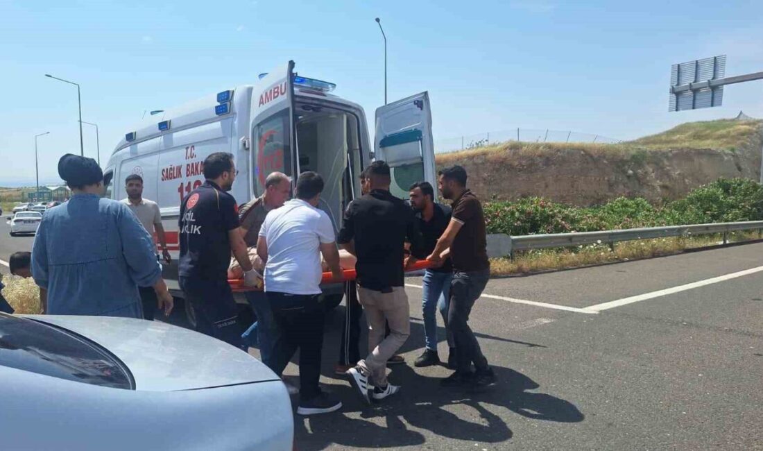 Şanlıurfa’nın Birecik ilçesinde meydana gelen trafik kazasında, iki otomobil çarpıştı