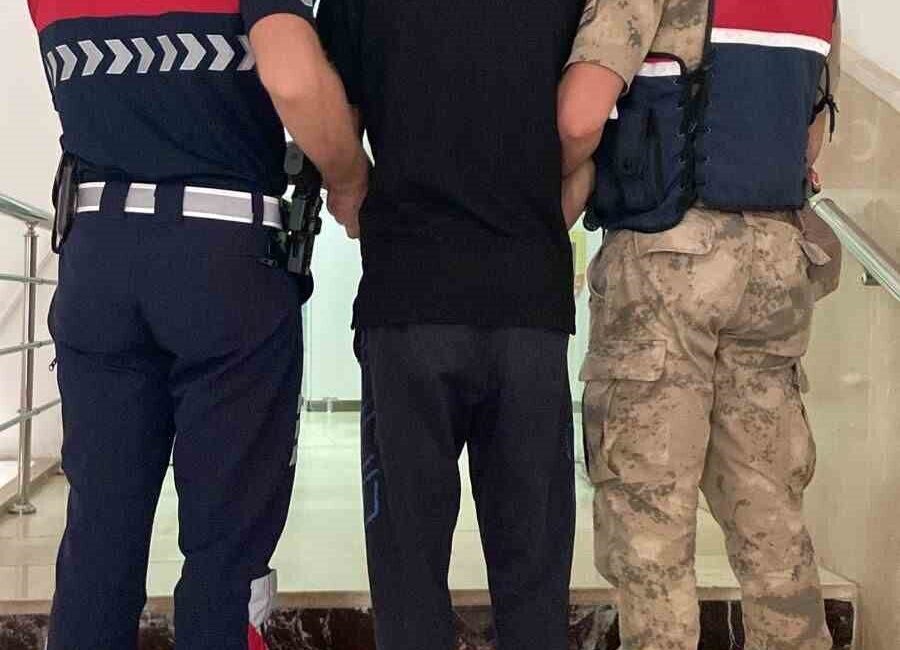 Şanlıurfa’da, 2 hükümlü jandarma ekipleri tarafından yakalandı. Şanlıurfa İl Jandarma