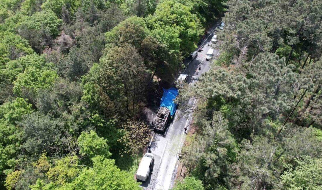 İstanbul Sarıyer ilçesinde bir IETT otobüsünde yangın çıktı. Otobüs alev
